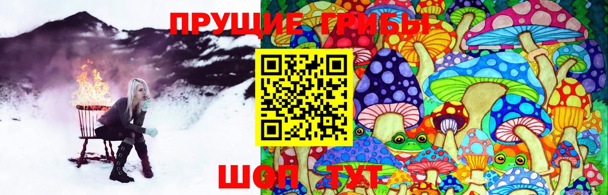 Истра  Псилоцибиновые грибы GOLDEN TEACHER  Вход с VPN  Галлюциногенные грибы ЛСД 