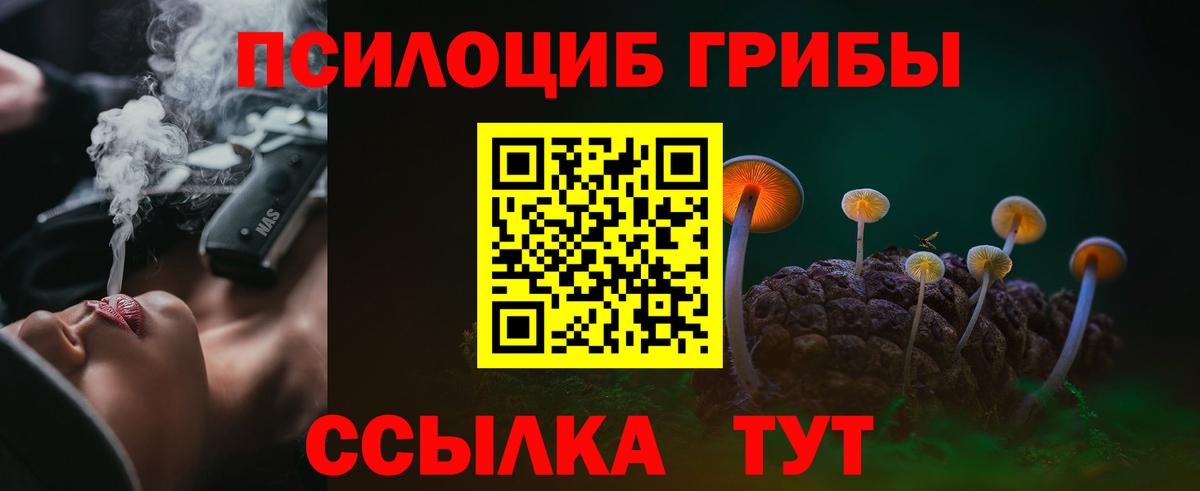 Псилоцибиновые грибы мухоморы Истра